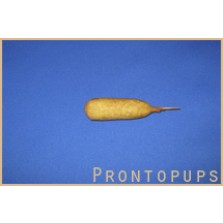 Prontopups Kip. Code:067